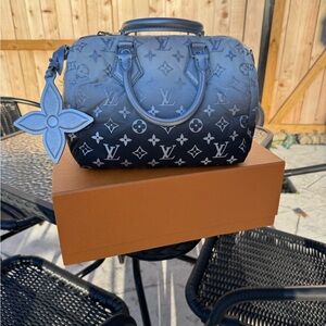 Louis Vuitton SKI Speedy 25 Monogram Frost M11848